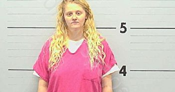 JOHNSON, LACEY LYNN | 2020-08-12 14:30:00 Burke County, North Carolina Booking