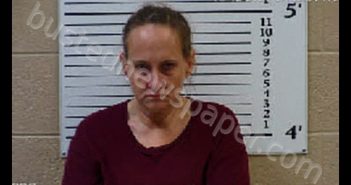 RAMSEY, HEATHER NICOLE | 2020-08-12 07:45:00 Cherokee County, North Carolina Booking