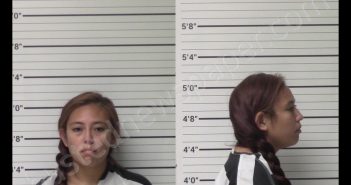 <B>ROBLES</B>, <B>NICOLASE</B> #, Kerr County, Texas - 2020-08-12