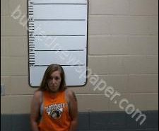 WHITNEY STRAND | 2020-08-13 20:54:00 Morgan County, Tennessee Booking