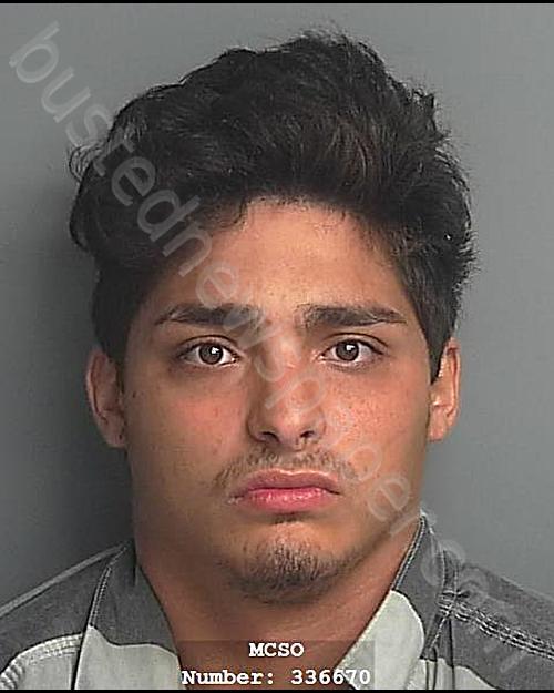 GONZALEZ, JONATHAN ALEXIS #, Montgomery County, Texas - 2020-08-13 19:55:00