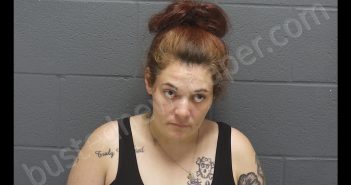 JESSICA LYN RHODA | 2020-08-13 18:43:00 Montgomery County, Indiana Booking