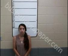 BRITTANY ASLINGER | 2020-08-13 10:29:00 Morgan County, Tennessee Booking