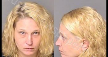 <B>HICKS</B>, <B>BRANDI</B> <B>MARIE</B> #, Gaston County, North Carolina - 2020-08-17 18:29:00