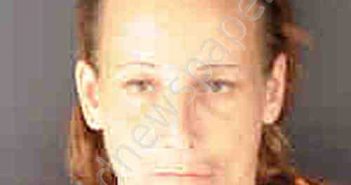 <B>SIMMONS</B>, <B>MICHELLE</B> <B>LEANN</B> #, Sarasota County, Florida - 2020-08-18