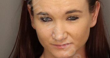 GREEN, ROBIN ELIZABETH | 2020-08-18 01:30:00 Jefferson County, Alabama Booking