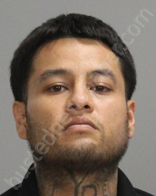 ALVAREZ, CRISTIAN DANIEL #, Brazos County, Texas - 2020-08-18