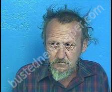 LOUIS WILLIAMS | 2020-08-19 22:36:00 Sullivan County, Tennessee Booking