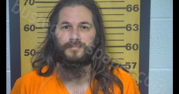 WILLIAM M WOOD | 2020-08-19 11:57:00 Ottawa County, Ohio Booking