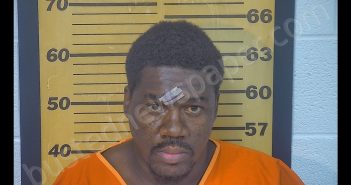 ANTONIO L BROWN | 2020-08-20 13:43:00 Ottawa County, Ohio Booking