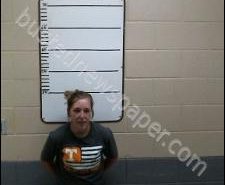 WHITNEY STRAND | 2020-08-20 14:49:00 Morgan County, Tennessee Booking