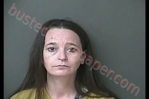 DUSTIE ANN JACKSON-ROARK | 2020-08-21 19:29:00 Howard County, Indiana Booking