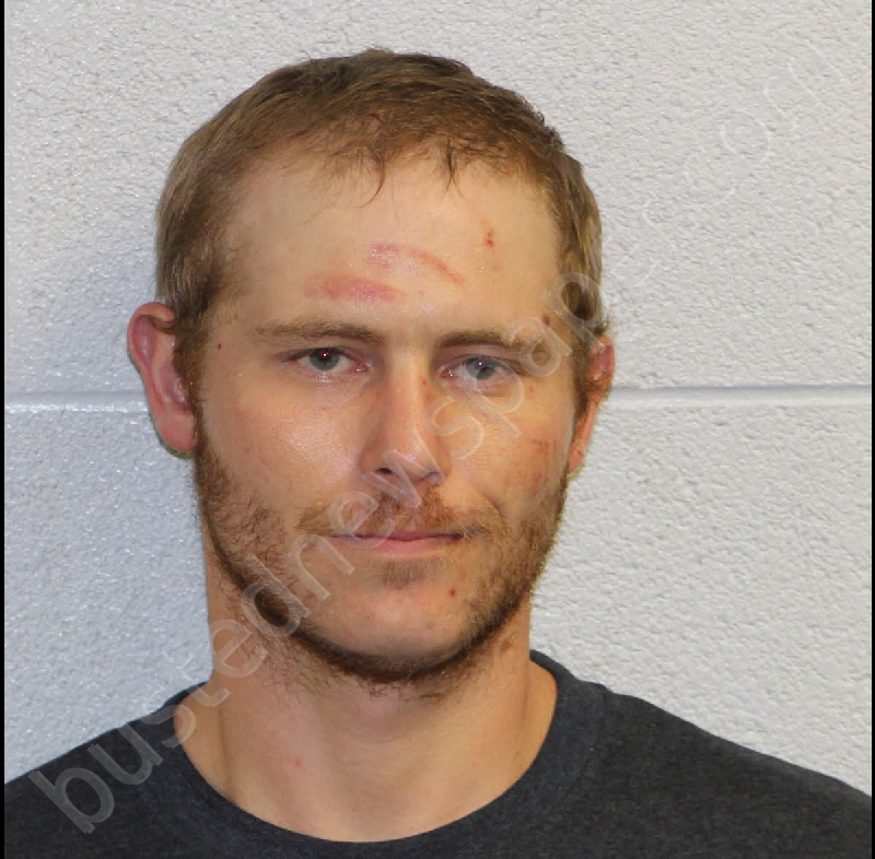 HODGINS, CHAZ JAMES BRIAN #, Jackson County, North Carolina - 2020-08-21 12:48:00