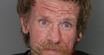 JUSTIN SHANE REESE | 2020-08-21 10:48:00 Anderson County, South Carolina Booking