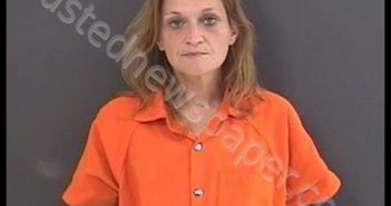 GIBSON, SUSAN RENEE | 2020-08-21 19:39:00 Roanoke County, Virginia Booking