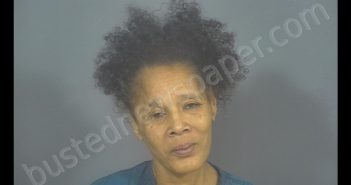 DEANNA YUVETTE MARIE <B>PHILLIPS</B> #, St <b>Joseph</b> County, Indiana, St. Joseph County, Indiana - 2020-08-21 01:16:00