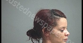 CHANEY MADISON | 2020-08-23 Sandusky County, Ohio Booking