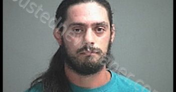ESTRADA AARON | 2020-08-24 Sandusky County, Ohio Booking