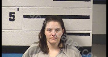JUSTICE, TASHAUNA ELIZABETH ROBERTS | 2020-08-24 21:01:00 Transylvania County, North Carolina Booking