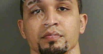 <B>WILLIAMS</B>,<B>MILES</B> <B>ANDREW</B> #, Collier County, Florida - 2020-08-24