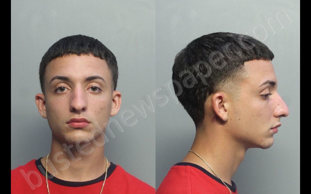ALVARE, DANIEL JOSE #, Miami-Dade County, Florida - 2020-08-25 03:13:00