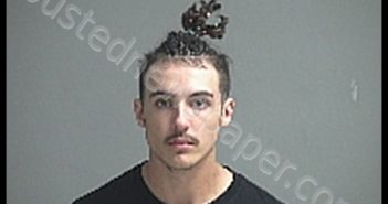 HALLIWILL TYLER S | 2020-08-26 Sandusky County, Ohio Booking