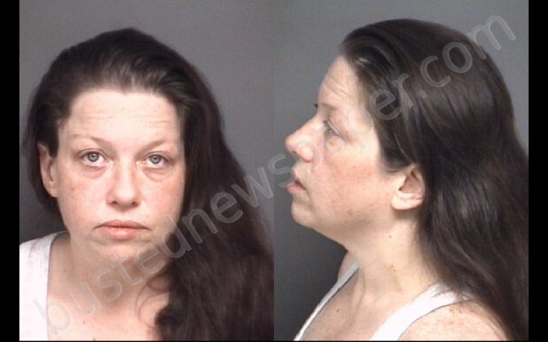 Lawrence, Tanya Marie Mugshot | 2020-08-27 Pitt County, North Carolina