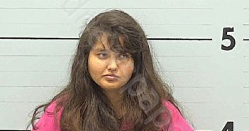 RAMIREZ, VANESSA RAZO | 2020-08-27 12:30:00 Burke County, North Carolina Booking