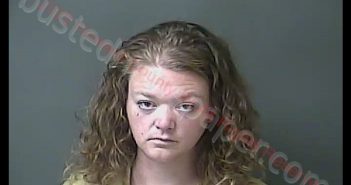 KATIE MARIE RAY | 2020-08-27 15:24:22 Howard County, Indiana Booking