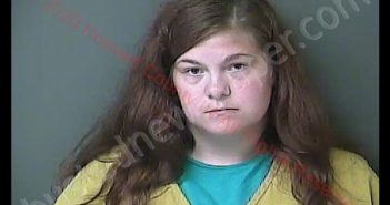 TIFFANIE LYNN CLINGAMAN | 2020-08-27 17:36:00 Howard County, Indiana Booking