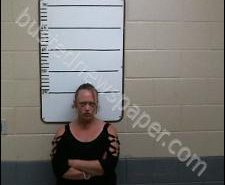 CRYSTAL BOLES | 2020-08-27 15:53:00 Morgan County, Tennessee Booking