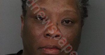 BRENDA GALE BROWNLEE | 2020-08-27 21:53:00 Anderson County, South Carolina Booking