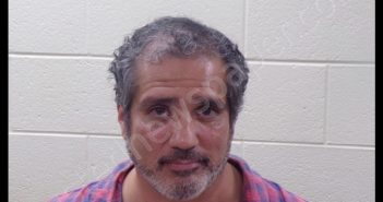 ALEJANDRO GABRIEL SILVA | 2020-08-28 23:26:00 Pickens County, Georgia Booking