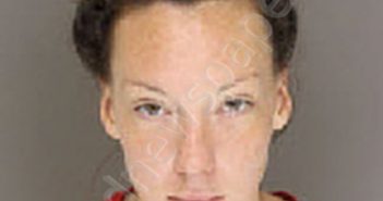 HOLDER, CECILIA MARIE | 2020-08-28 16:38:00 Moore County, North Carolina Booking