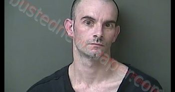 MICHAEL W. PIATT | 2020-08-28 19:29:02 Howard County, Indiana Booking