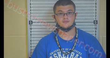 DYLAN CASTLE | 2020-08-28 08:44:00 Taylor County, Kentucky Booking