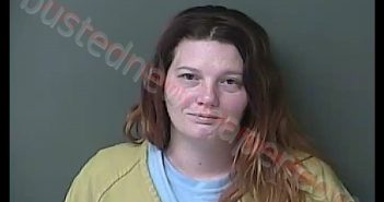 AMANDA A CONKLIN | 2020-08-28 18:16:58 Howard County, Indiana Booking