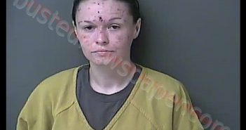 SHAILEA DAYNE MAY | 2020-08-28 15:43:00 Howard County, Indiana Booking