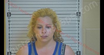 VICKIE M MILBY | 2020-08-29 18:13:00 Taylor County, Kentucky Booking