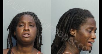 <B>JOHNSON</B>, <B>NATASHA</B> <B>KIM</B> #, Miami-Dade County, Florida - 2020-08-29 11:32:00