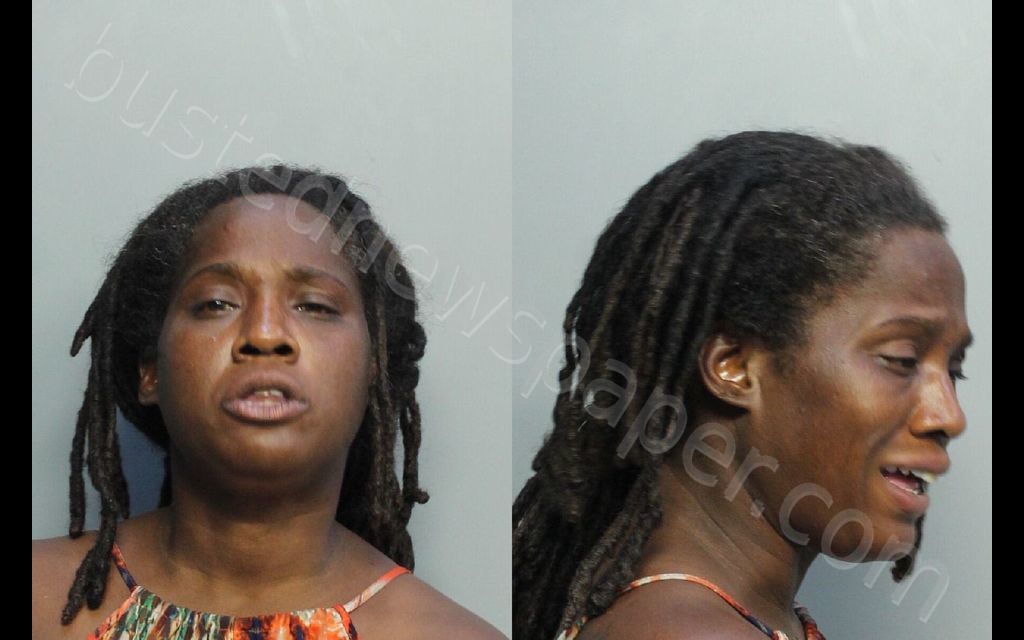 JOHNSON, NATASHA KIM #, Miami-Dade County, Florida - 2020-08-29 11:32:00