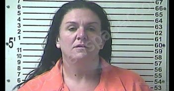 BRANDY LEE DALE | 2020-08-30 19:08:00 Hardin County, Kentucky Booking