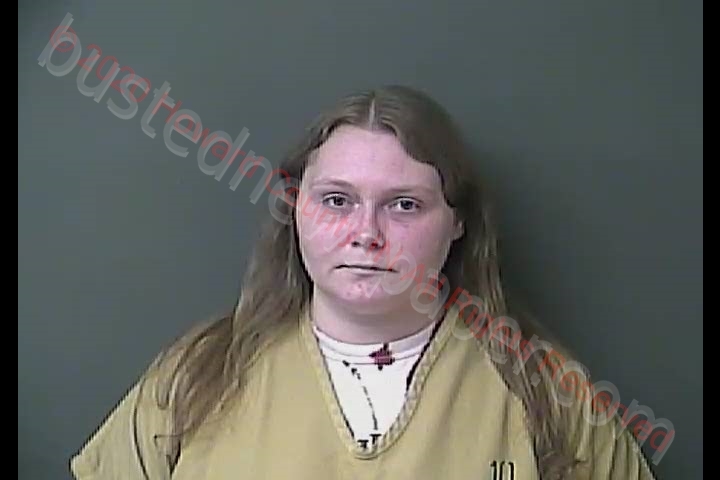 BRITTANY LOUISE JONES #, Howard County, Indiana - 2020-08-30 20:43:29