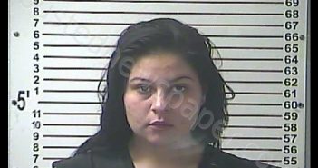 VICTORIA HELENA LONGNECKER | 2020-08-30 10:45:00 Hardin County, Kentucky Booking