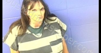 STACIE WILSON | 2020-08-30 19:28:00 Faulkner County, Arkansas Booking