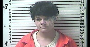HEATHER MARIE MYERS | 2020-08-30 22:19:00 Hardin County, Kentucky Booking
