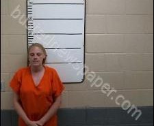 PATRICIA DALES | 2020-08-31 10:37:00 Morgan County, Tennessee Booking