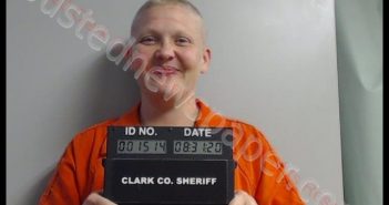 ANDREA LYNN RAY | 2020-08-31 22:13:00 Clark County, Missouri Booking
