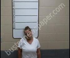 CRYSTAL HINKLE | 2020-09-01 18:59:00 Morgan County, Tennessee Booking