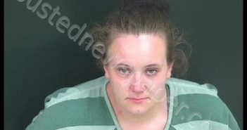 WILLIAMS, BRITTANY NICOLE | 2020-09-01 11:56:00 Brown County, Ohio Booking